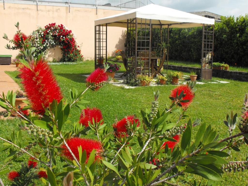 Villa Etruria Guest House Pitigliano Dış mekan fotoğraf