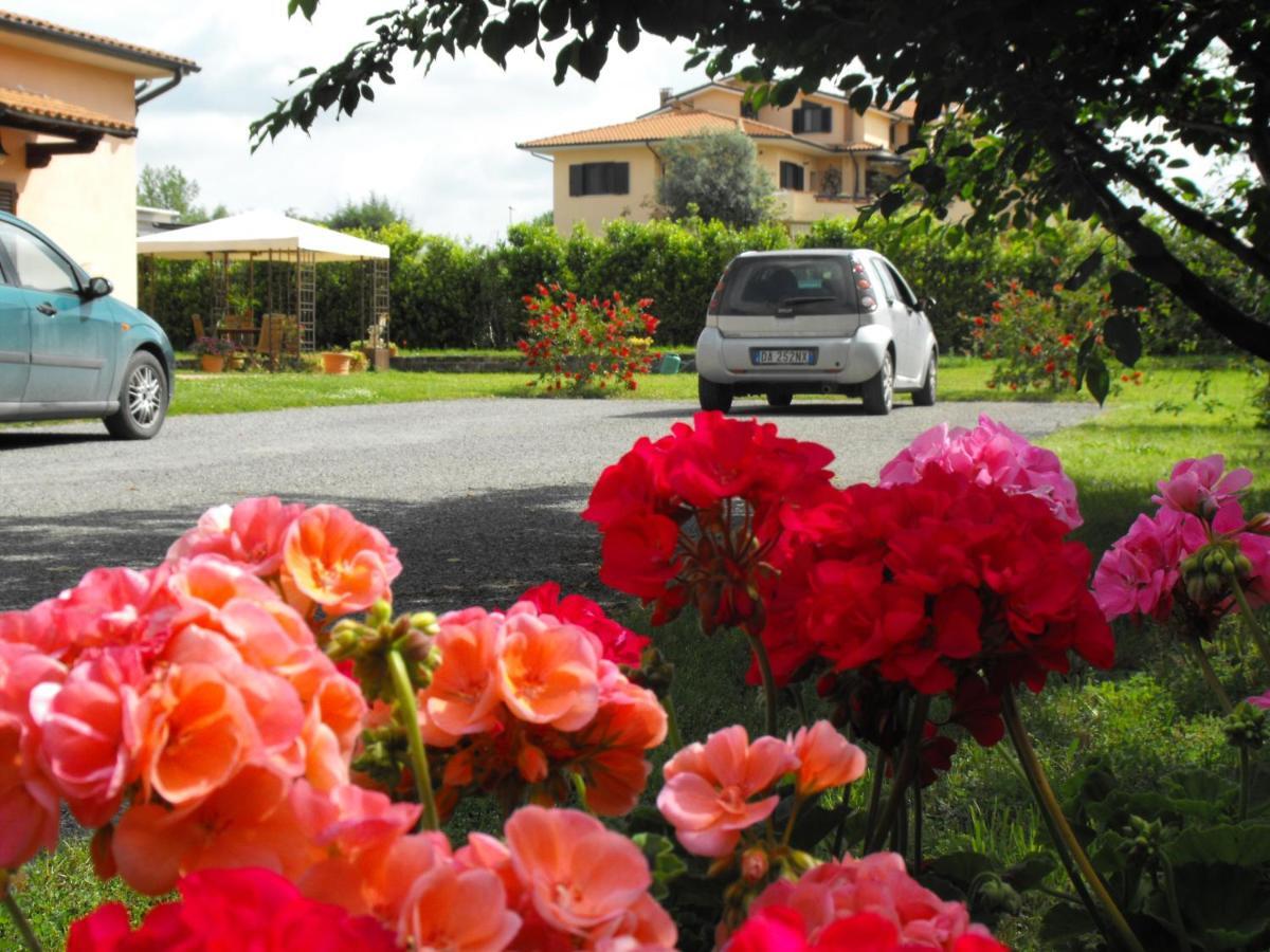 Villa Etruria Guest House Pitigliano Dış mekan fotoğraf